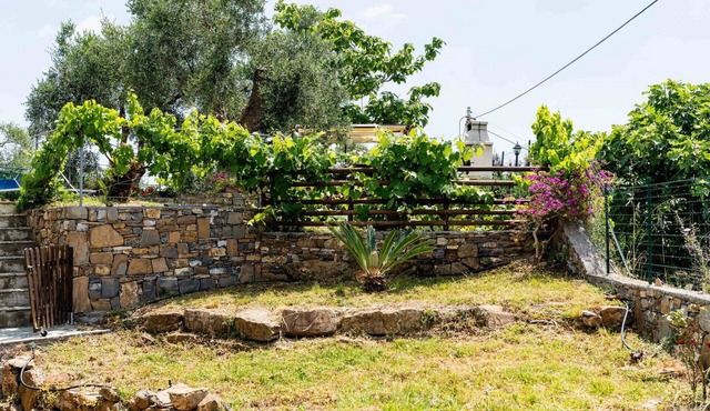 Cosy apartment for 4 guests with WIFI, A/C, pool and pets allowed