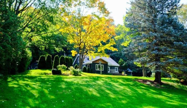 Cottage on 5 Private Acres, Heated Pool & Hot Tub