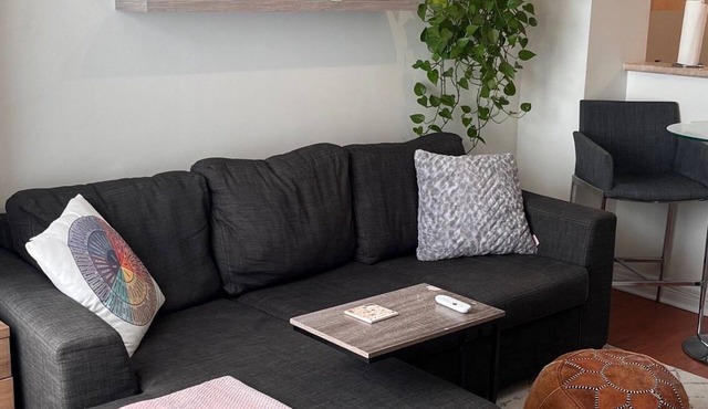 Cozy 1-Bedroom Townhouse near King West