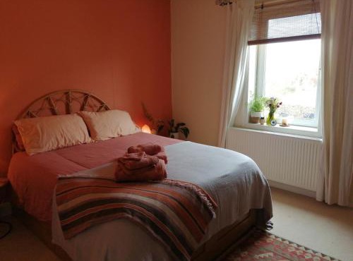 Cozy Peaceful Homestay