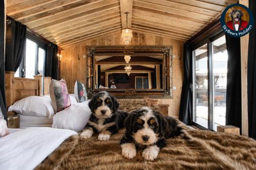 Dalbeattie Retreat Puppy Lounge, Games Room, Arcades