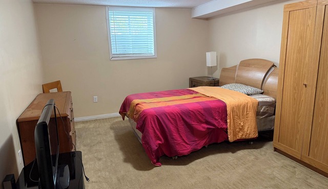Downtown/beside university of Guelph for Professionals