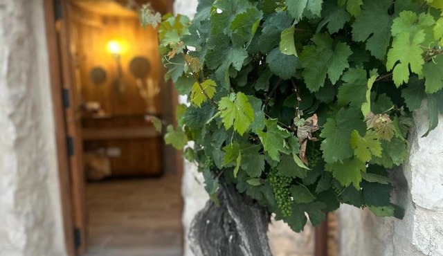 El rincon de Fausto