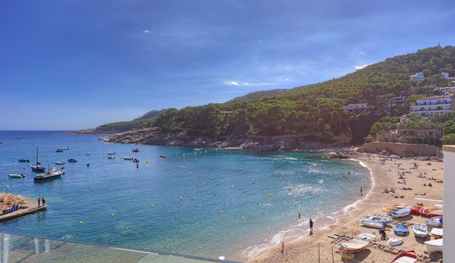 Fantastic apartment in first line of beach with a spectacular sea view
