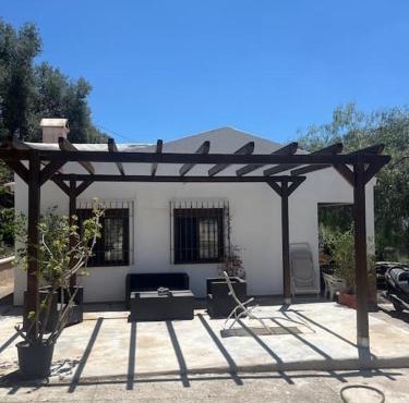 Farmhouse surrounded by centenary olive trees