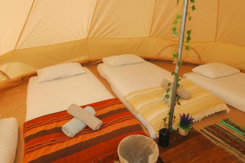 Festival Glamping At The Drum - Orchard Park