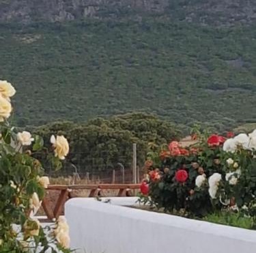 Finca La Rinconada