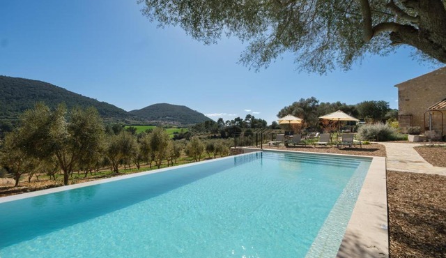 Fincahotel Treurer - Olive Grove & Grand House - Adults Only