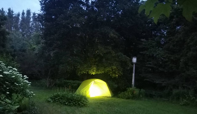 Furnished Tent Near Toronto, Bug Proof, Shared Full Bath, Near Lake