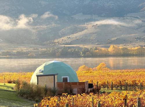 Glamping Dome - Rosé