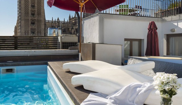 Gorgeous Apartment with Swimming Pool and Cathedral View