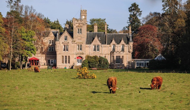 Highland Hideaway Near Nairn Beach & Cawdor Castle, Free Parking
