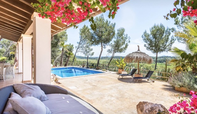 Idyllic country house finca ALMA/ETV/10069