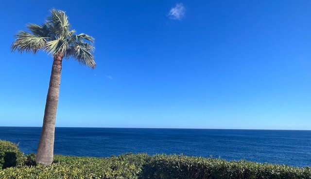 In 1st sea line with great sea view, 4 minutes walk to the beach, air conditioning, heating