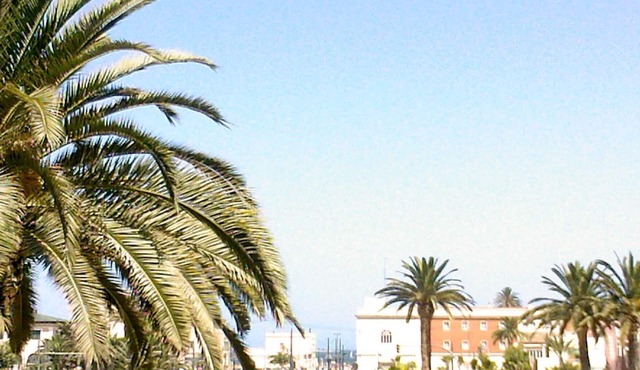 In front of the beach Free WIFI.