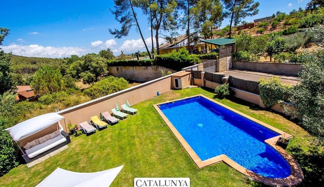 Jordi Can Vinyals Reg 13 - Ref 561.13