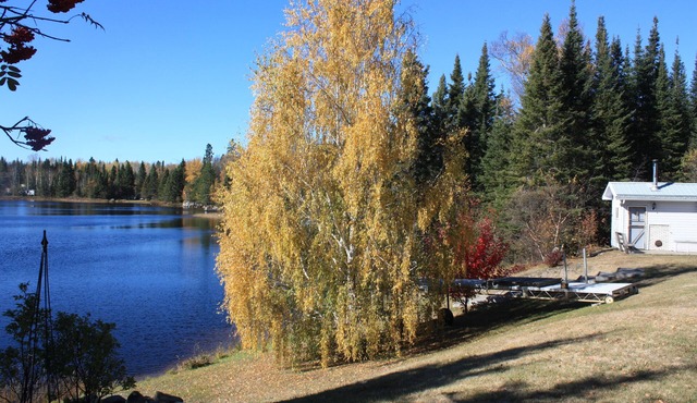 Lake House