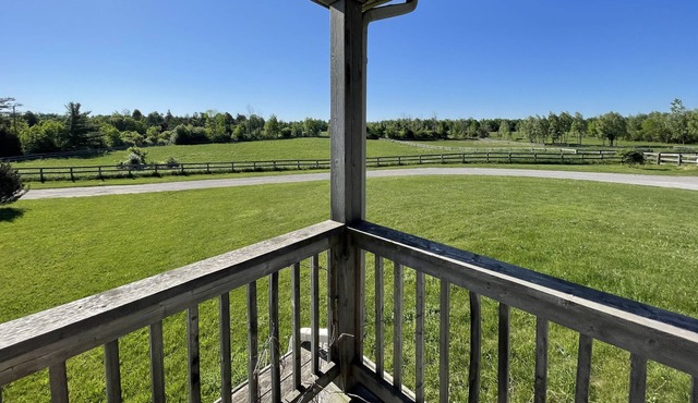 Large Estate on a MASSIVE Lot!