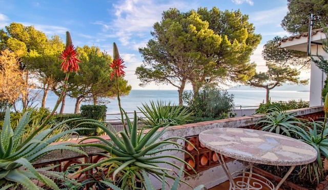 Les Tonyines 68 - apartment with views and terrace