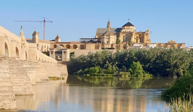Loft Ribera de Córdoba