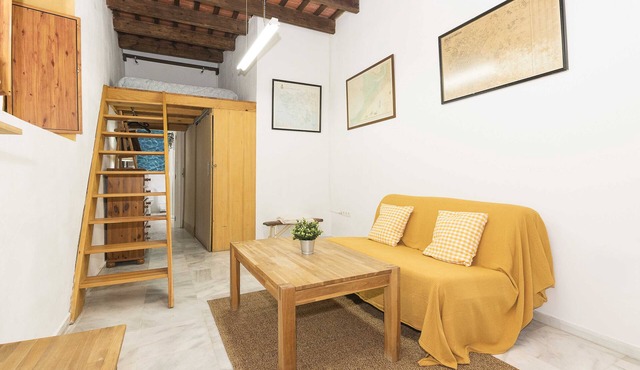 LOFT SANTIAGO - Nice flat in the centre of Jerez de la Frontera with Free Wifi