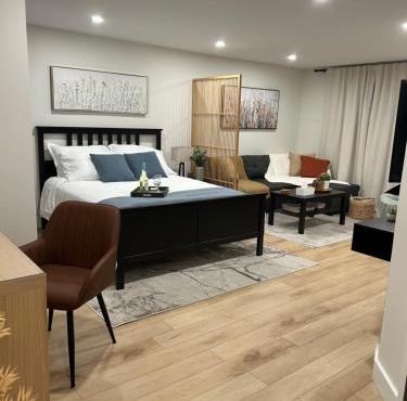 Luxurious modern basement apartment