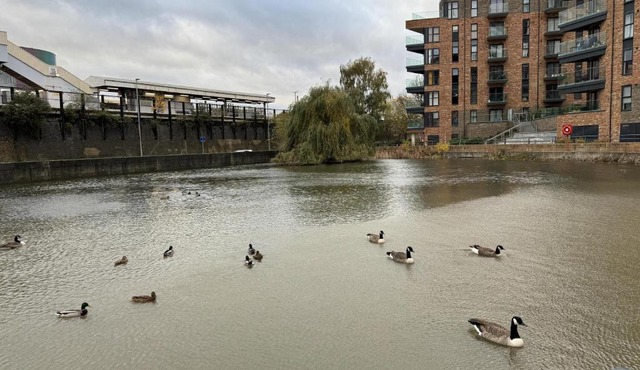 Luxury Apartment in Dartford