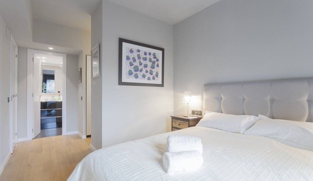 Luxury II-cozy apartment in exclusive district of Madrid