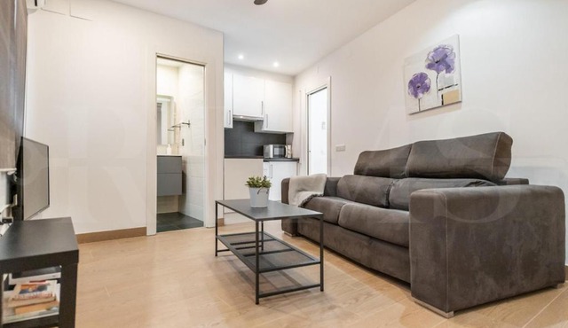 Minimalistic apartment in heart of Malaga REMS