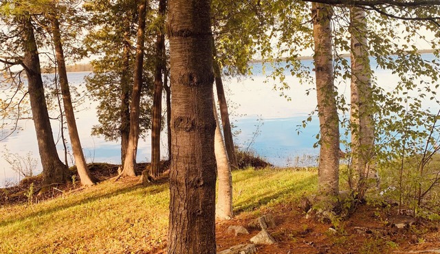 Nature Lovers - Waterfront - Lower Rideau Lake - Dog Friendly!