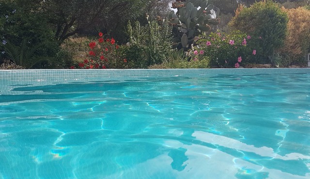 NEAR SEA, very nice modern apartment in house with nice garden, swimming pool