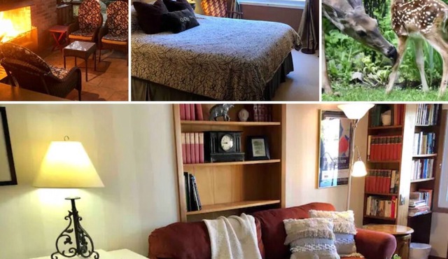 Nestled in nature; 2BD apt. in artist & writer's home