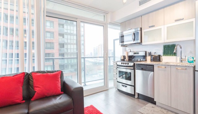 Newly Renovated Condo in Downtown Toronto