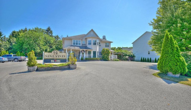 Nine Vines Hotel