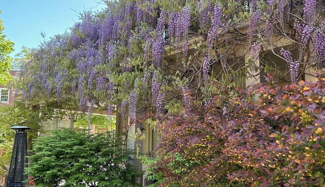 Norfolk Guest House
