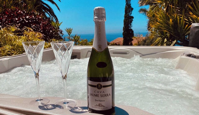 Ocean views in an oasis of lush vegetation. Jacuzzi and peace and quiet