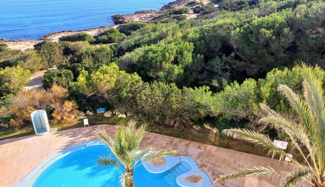 On the beach, with pool ! Super sea view, fiber optic internet, air conditioning