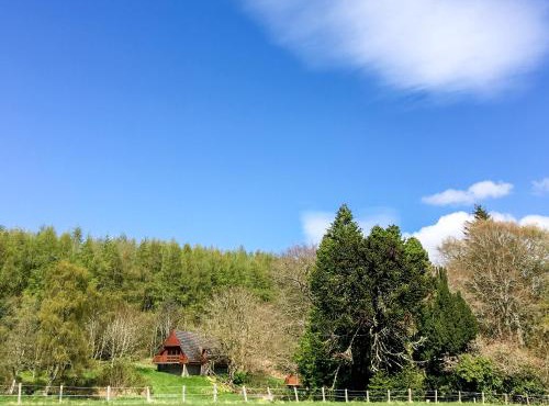 Pine Lodge - Uk7049