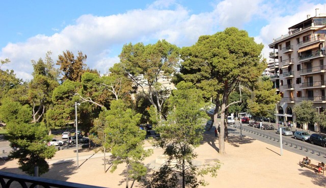 Plaza Puerta Santa Catalina, 300 meters from the Club Nautico, Cathedral and Old Town.