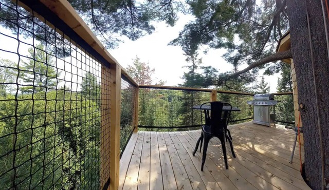 Plus haute cabane dans les arbres en Amérique du Nord - Harrington, Canada