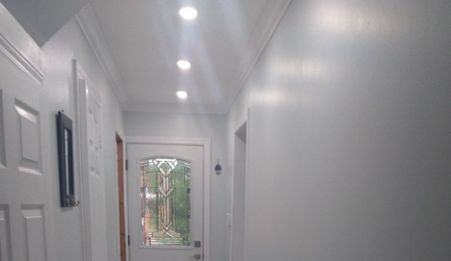 Renovated Entire House for families close to Toronto Zoo and U of T