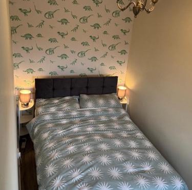 Room in Glasgow 20 mins away from city