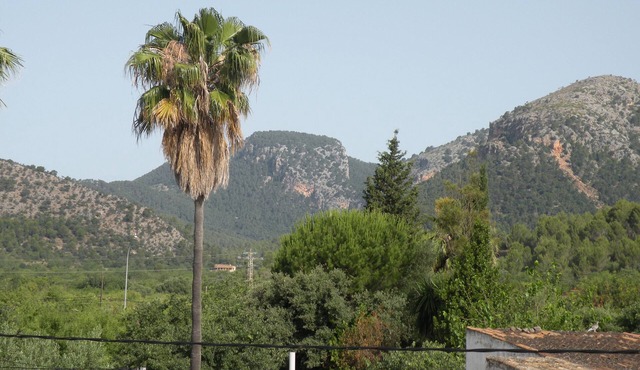 Rustic country house, surrounded by almond trees, quiet area.