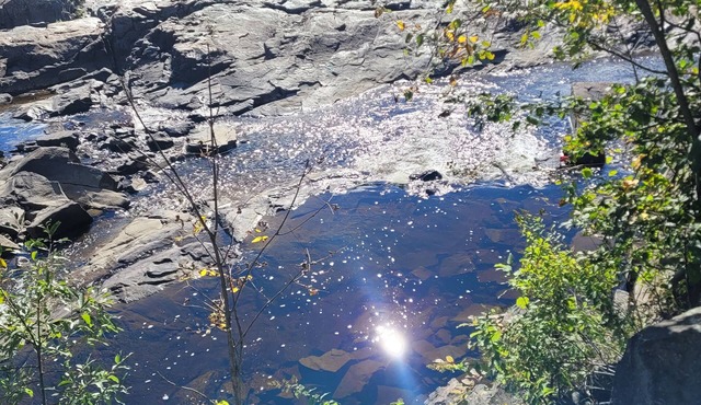 SEARCHMONT SERENITY (2)