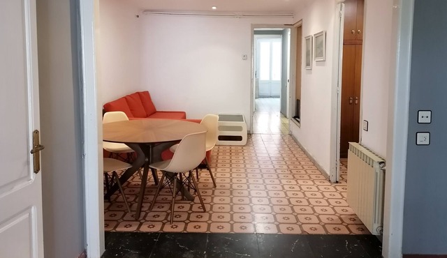 Small old flat