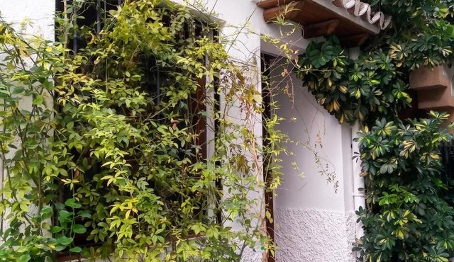 Spacious comfortable house in Quesada with balcony
