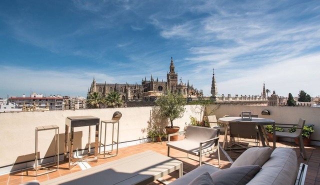 Spectacular attic with the best terrace in Seville