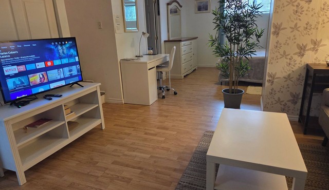 studio, bachelor