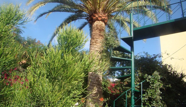 Studio Marcel, Comfortable and economical, Tenerife