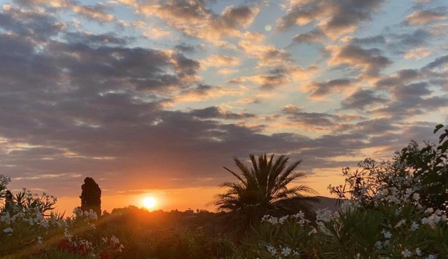 Studio Sur in Son Macia Mallorca - Adults Only